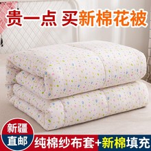 新疆棉花被学生宿舍包布褥子单双人家用垫被纯棉花床褥厂家直发