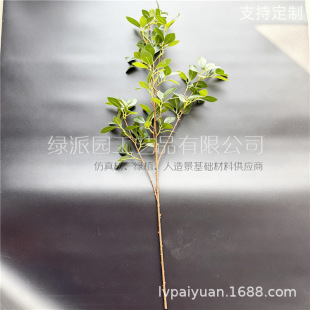 ���Q�羳���؛�����~�L֦ ���~֦�b�������ؿ͏d�[��ֲ��