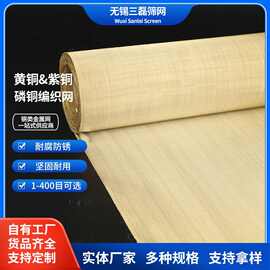铜丝网黄铜筛网黄铜网过滤片电磁信号屏蔽网铜网布40-400目编织网