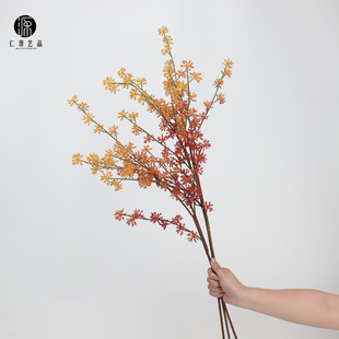 ���Sֱ�N ����������й����ٹ��G���� �Gֲ�쾰�廨����L֦����