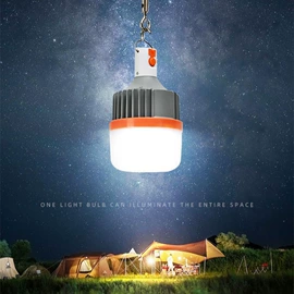 LED球泡灯;风扇灯;太阳能灯