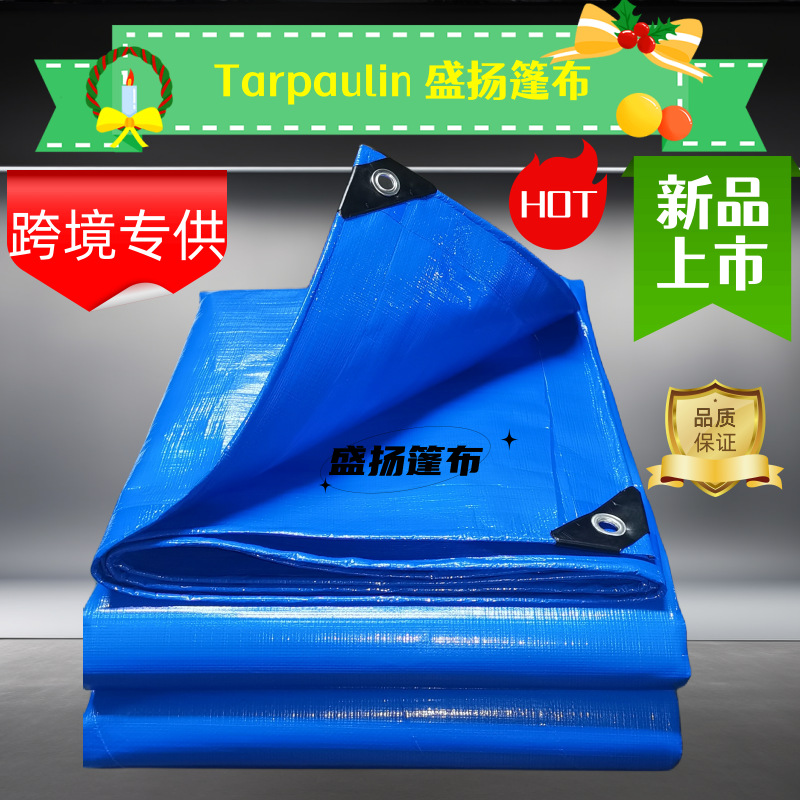 微信图片_20231114203857_副本平面2