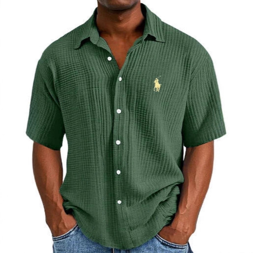 Tiktok Temu2025 New Cross-Border Large Size Embroidered Shirt Men's Loose Cotton Short-Sleeved Lapel Shirt