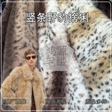 ����С�����п�����ë���yӡ���º���ëɽ؈ӡ���y�Q�lƤ�ݽq����