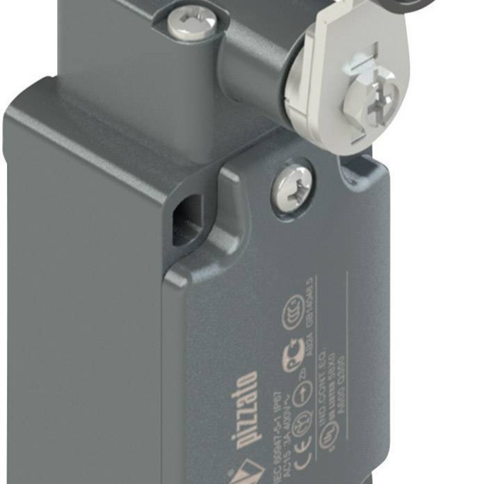 意大利 PIZZATO限位开关型号：	AP G0A-000Z	 /描述：	Maniglia