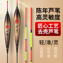 带壳脱脂芦苇浮漂高灵敏醒目加粗鱼漂鲫鱼鲤鱼大物综合野钓黑坑鳔