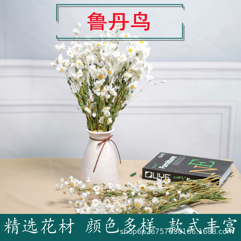 Сухоцветы рудан, вечные цветы рудан, декоративные элементы, украшения для окон, цветочные композиции для гостевых домов, декоративные цветы ручной работы, консервированные цветы, букеты.