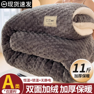 Lamb Fleece Quilt Winter Thickened Warm Tortoise Fleece Winter Quilt Winter Quilt Winter Dormitory Single Student Bedding Quilt Core