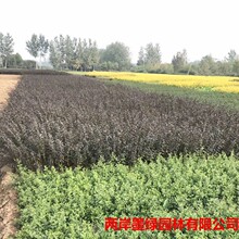 �������l ���~ˮϞ�� ���~ˮϞ�� �G����ľɫ�K��Ʒ�NҎ���Rȫ