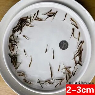 ̨�����q��~�籾�����q���q�r���~�Bֳ��ˮ�������~�������