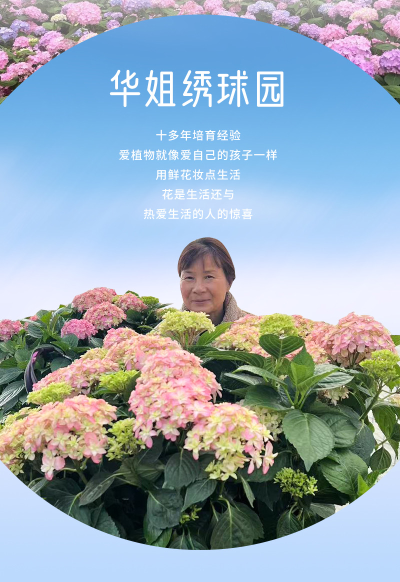 생방송실에서 1개 품목, 1개 품목, 특별 가격 차액 59.9엔 59.9 세면대 포함