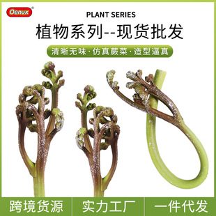 ����ʳƷģ�Ϳƽ̆���ֲ���ާ��Ұ���׃��@�[���b�������Ĕz