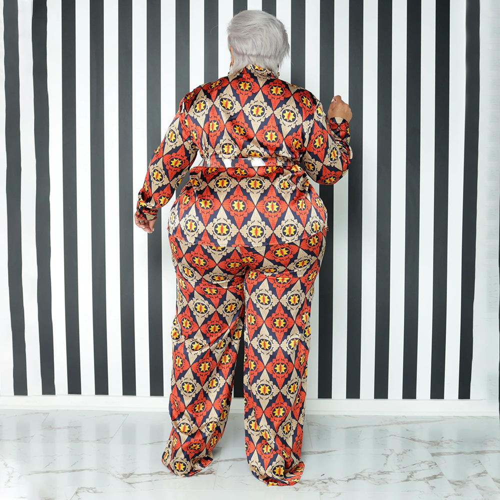 Daily Retro Printing Spandex Polyester Pants Sets Plus Size Two-piece Sets display picture 20