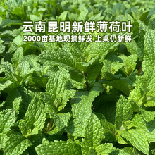 ��S���������r�����׾��׷ۻ�偵��r�Cţ���j�˻���ֱ�l