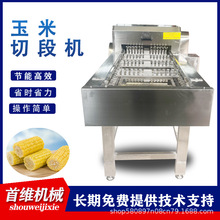 一机多用 胡芹香芹大葱山药蔬菜去根机  冻带鱼鲜刀鱼切段设备