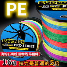 16�������Rpe��������~������^�~���������ĥ��ҧ���W�L�~��