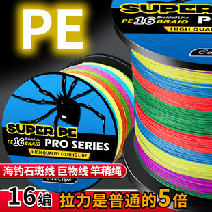 16�������Rpe��������~������^�~���������ĥ��ҧ���W�L�~��