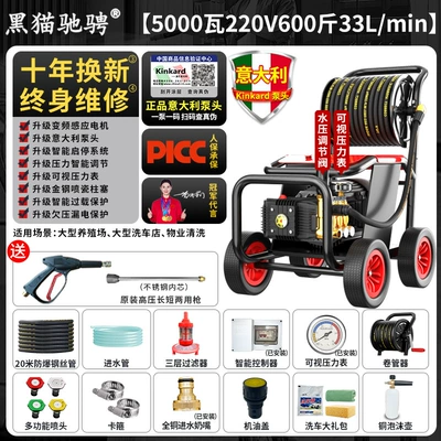 Car washing machine, Black Cat Racing Variable Frequency Cleaning - save-30-power-220v50kw-600kg-33lmin-20m-steel-wire-pipe-hose-reel-medium-sized-car-wash-shop-model