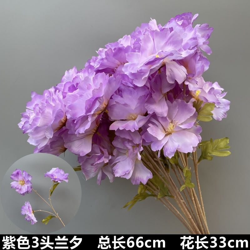 보라색 3등 난초