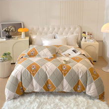简约秋冬涤棉磨毛被套床上用品印花加厚保暖单品被罩床品南通家纺