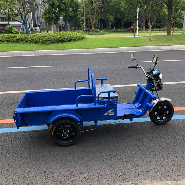 Other Electric Tricycle for Street Vending, Household Use, Cargo (Auto Parts and Accessories) - standard-12m-cargo-bed-bare-vehicle-without-battery-charger-48v