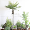 假树棕榈刺葵树热带雨林仿真植物盆栽露营风咖啡店酒馆景观造景|ru