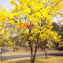 ̩���S���L⏘�����L�ľ���ϻ��L�ͥԺ�����^�����Ե��Զ໨