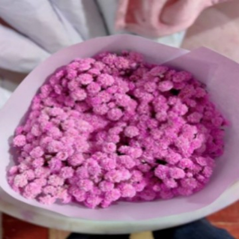 玫瑰花鲜花云南昆明基地批直发百合向日葵红豆家用鲜切水养插|undefined