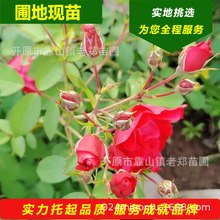 �F����¼��^�p�¼������ͺ�����¶����ֲ�|���S���¼���������