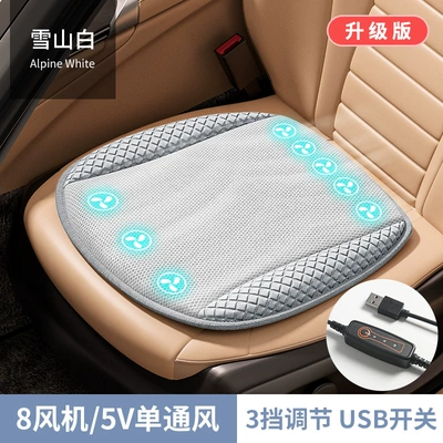 ice cushion seat cushion fan, Seat cushion, seat cover - snow-mountain-white-8-fan