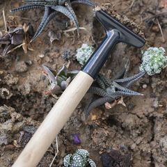 Gardening tools set of three: flower cultivation fork, planting tools for vegetables, flowers, succulents, small trowel, gardening tool, small iron spade, potting supplies