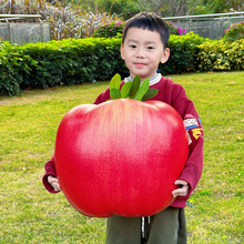 ���泬��̖ˮ����ģ�ͼٴ��O��ģ�ͱ����赸��ͯ���ՔzӰ���ߔ[��