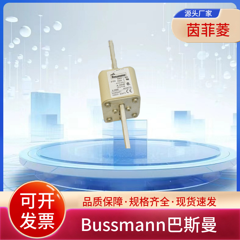 熔断器170M4708 170M4709 170M4710 170M4711 170M4712 170M4713