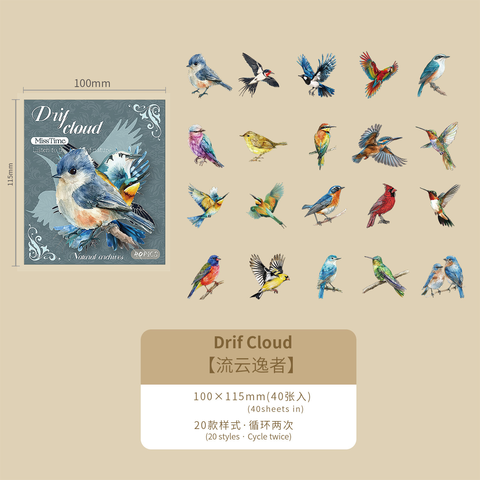 Diez mariposas brillantes tema de la caja de fotos, archivo natural serie de hongos creativos caja de fotos de fotos de fotos de fotos