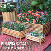 ľ����������ľ���������@�Nֲ���茍ľ�L���λ���