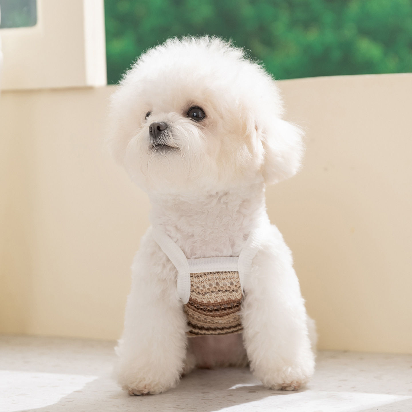 26 años de nuevo gato y perro ropa hueco malla primavera y verano tracción chaleco de tracción eslingas que osos Teddy ropa de mascotas