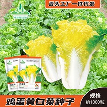 �S�����l�u���S��ײ˷N����ó��S�İײ˷N�����＾�����˲���