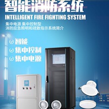 国标A型集中电源控制消防应急疏散照明灯出口不锈钢面板