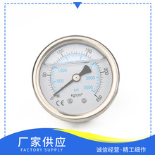 加工定制仪表耐震压力表耐震气压压力表精密真空压力表油压表
