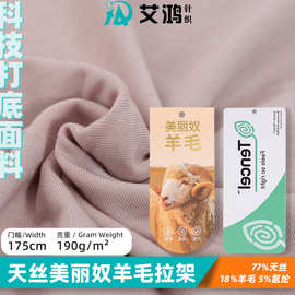 天丝绒感美丽奴羊毛拉架针织布功能性打底运动母婴面料吸湿排汗