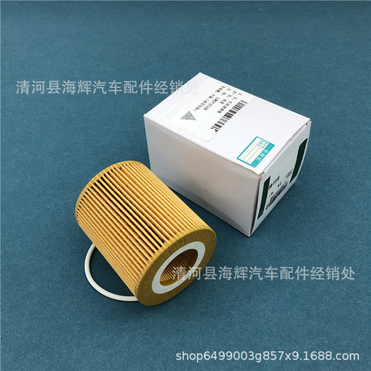 Suitable for Land Rover Discovery 4 Range Rover Sport Executive Engine Filter 3.0t Diesel Version Oil Grids Filter