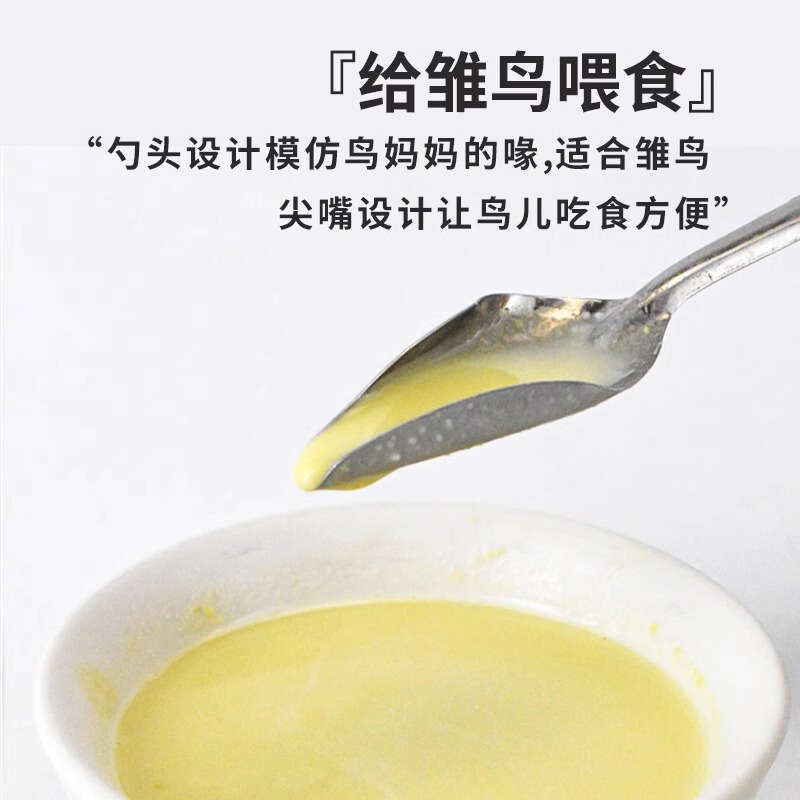 ステンレス鋼の尖ったスプーンオウム哺乳スプーン若鳥ナースハンドオウム若鳥給水スプーン卸売|undefined