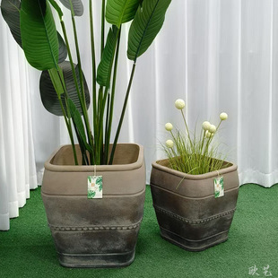 ��ʽ�¹Ŵ��躆�s�p�ݹ��I�L�Ϸ��L���ȵ����޾Ƶ�ͥԺ�Nֲ����