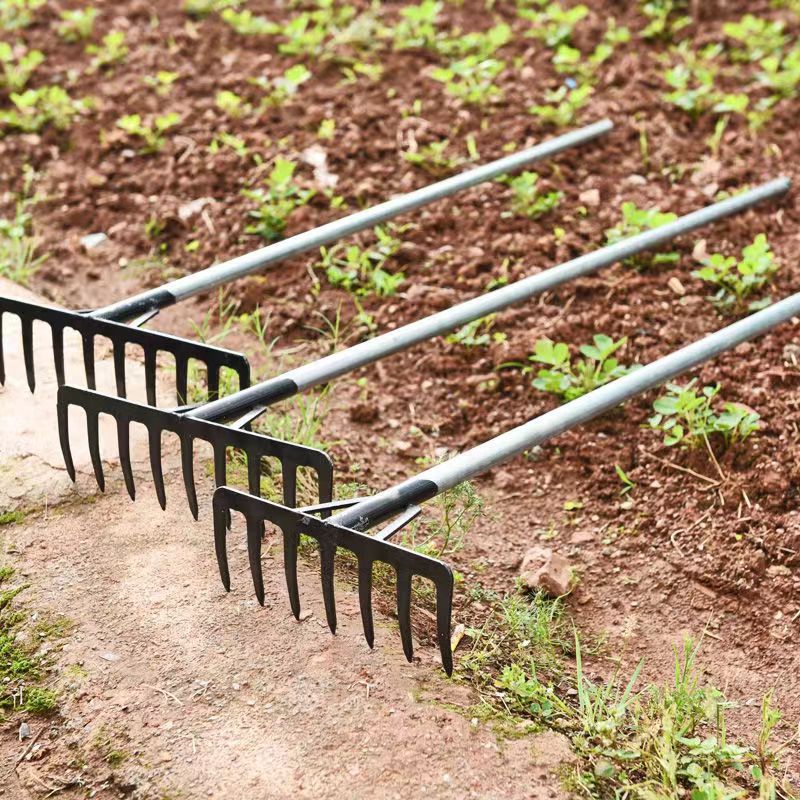 27a6f586e9dd690c86be61c50014d3