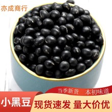 绿心黑豆批发 青仁东北圆粒熬粥豆浆原料黑豆 五谷杂粮50斤黑豆