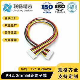 源头工厂 PH2.0mm间距端子线车载导航医疗设备电子连接线单双头