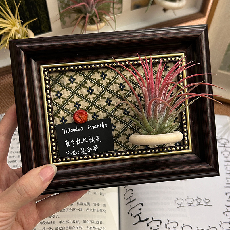 2025 New Air Pineapple Green Plant Magnetic Decorative Painting Photo Frame Can Be Hung on the Wall Retro Home Desktop Ornaments Decoration 2025 New Air Pineapple Green Plant Magnetic Decorative Painting Photo Frame Can Be Hung on the Wall Retro Home Desktop Ornaments Decoration