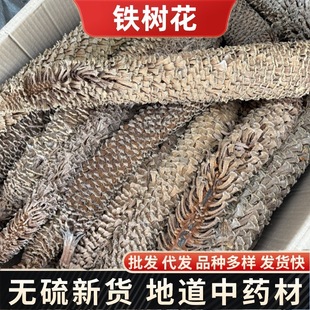 Herbals�F�仨��ș�� �F���ۻ� ���F�仨 �F��� �Pβ���䱳���l