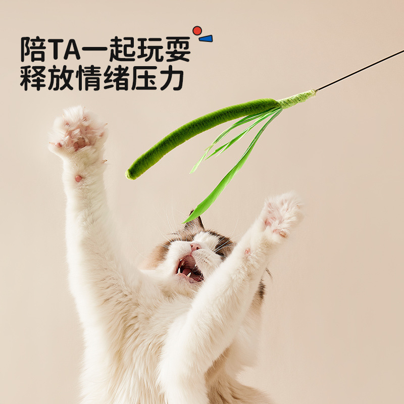 猫のおもちゃの犬の尾の草の長さは猫の棒の羽の棒の鋼線の猫のおもちゃの羽をからかって猫の棒のしなやかな現物を笑わせます。|undefined
