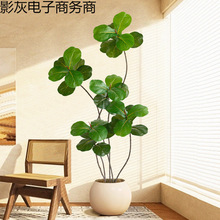 ���~�ŷ���Gֲ���Ը߼�����ֲ���Ҹ������͏d�bƵ������ÿ�